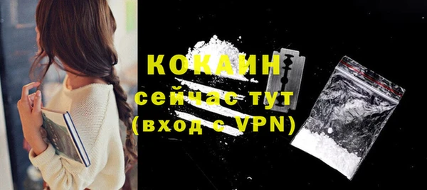 дживик Абинск