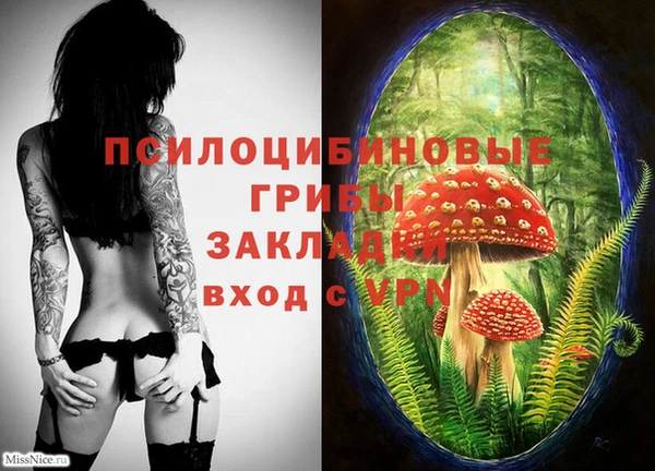 соль курить ск Ростов